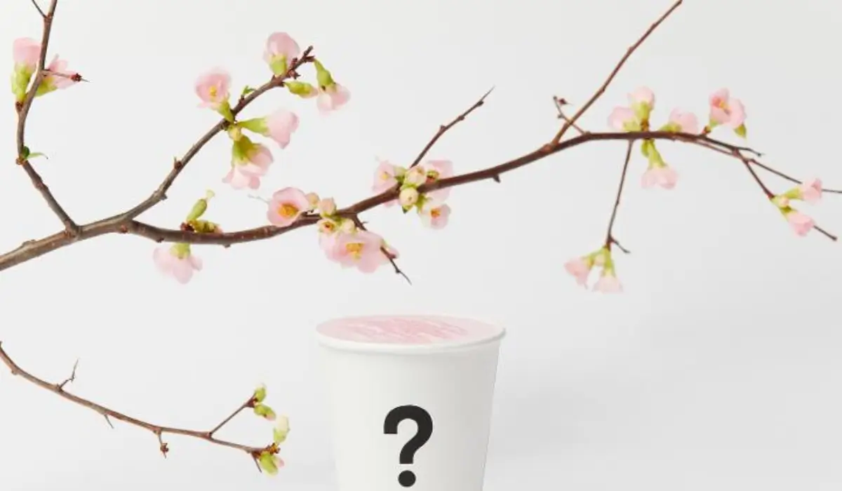spring themed beverage promotion representing seasonal restaurant menu launches in March